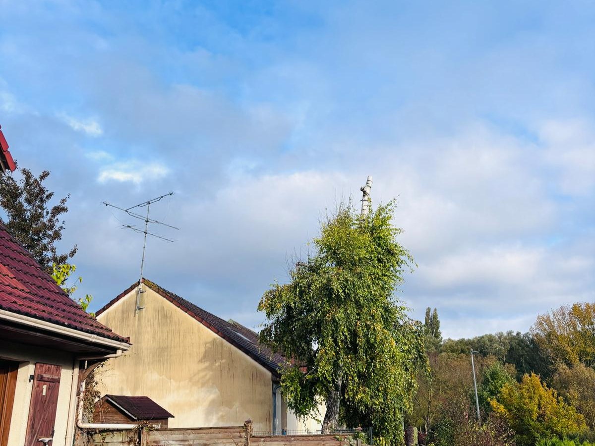 Après — Abattage d'arbres par Quatre Trèfles à Amiens