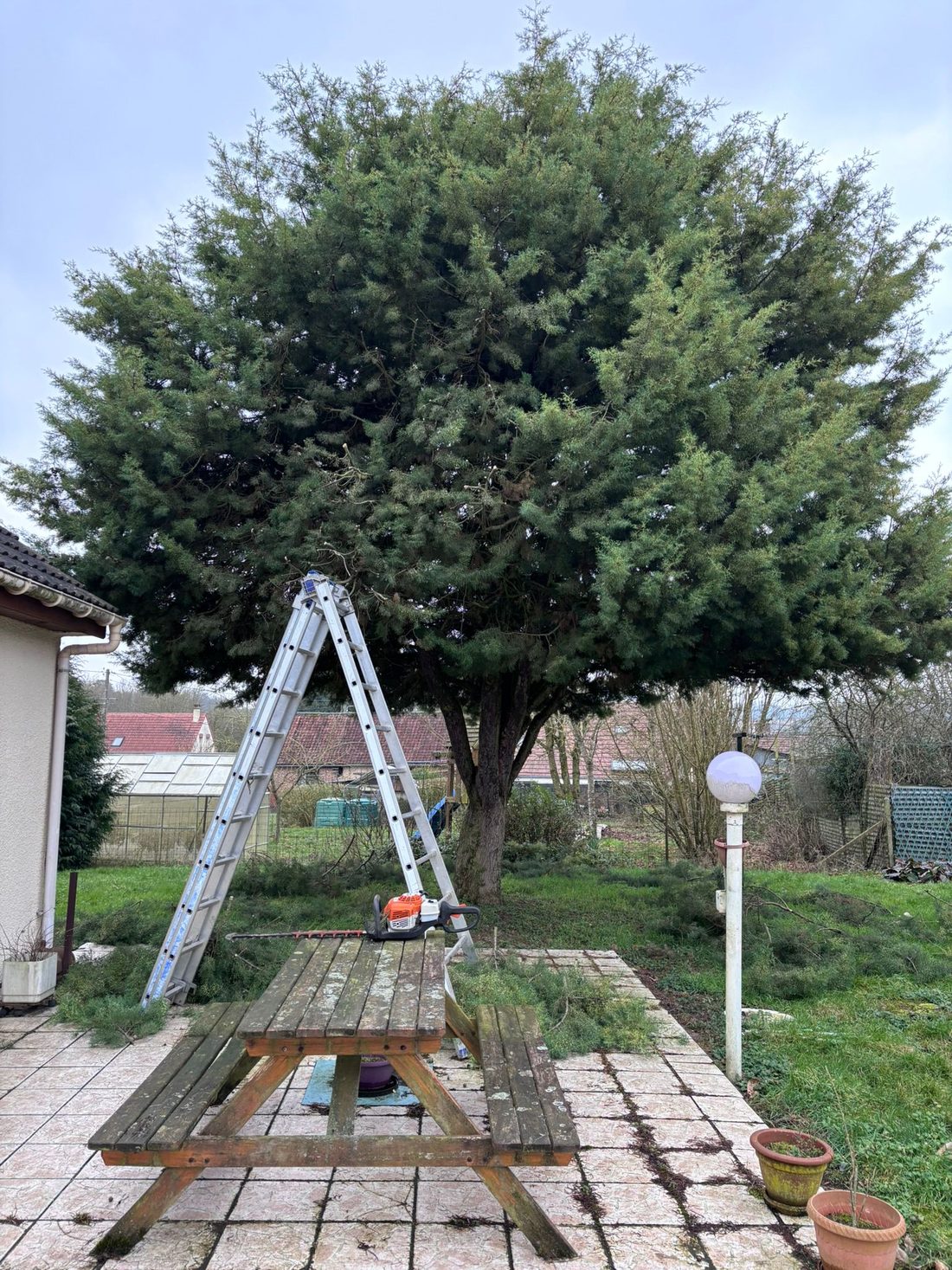 Élagage en cours