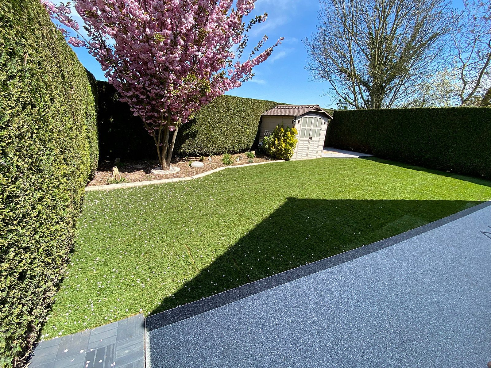 Création de pelouse